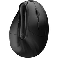 Rato Sem Fio Ergonómico Recarregável 4000dpi Preto